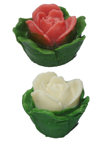 ȫ����õ�廨 5005